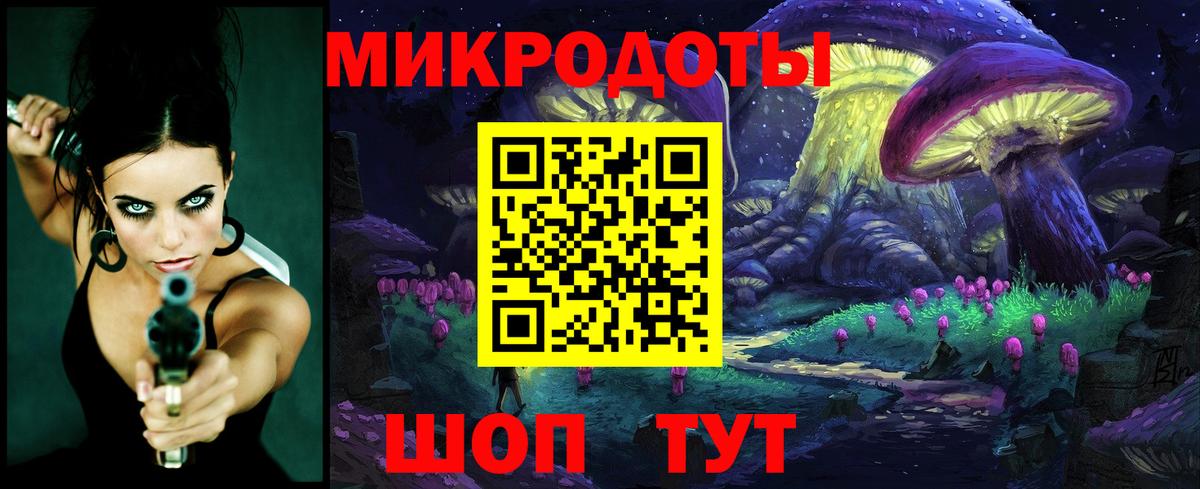 Псилоцибиновые грибы Psilocybe  Вход с VPN  Михайловка  Псилоцибиновые грибы мицелий 